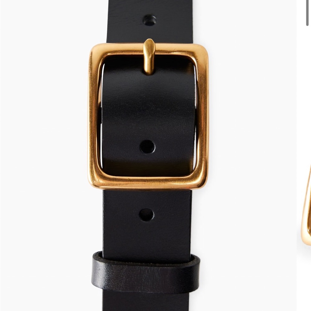 Babaton Rectangle Leather Belt
